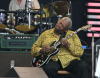 bbking-7